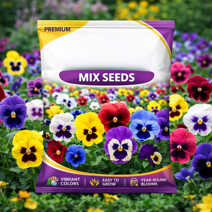 Pancy Mix Seeds